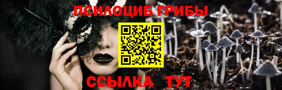 Псилоцибиновые грибы мицелий  Вход с VPN  Коммунар 