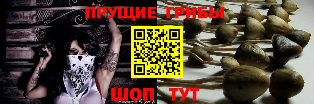 Псилоцибиновые грибы прущие грибы Коммунар